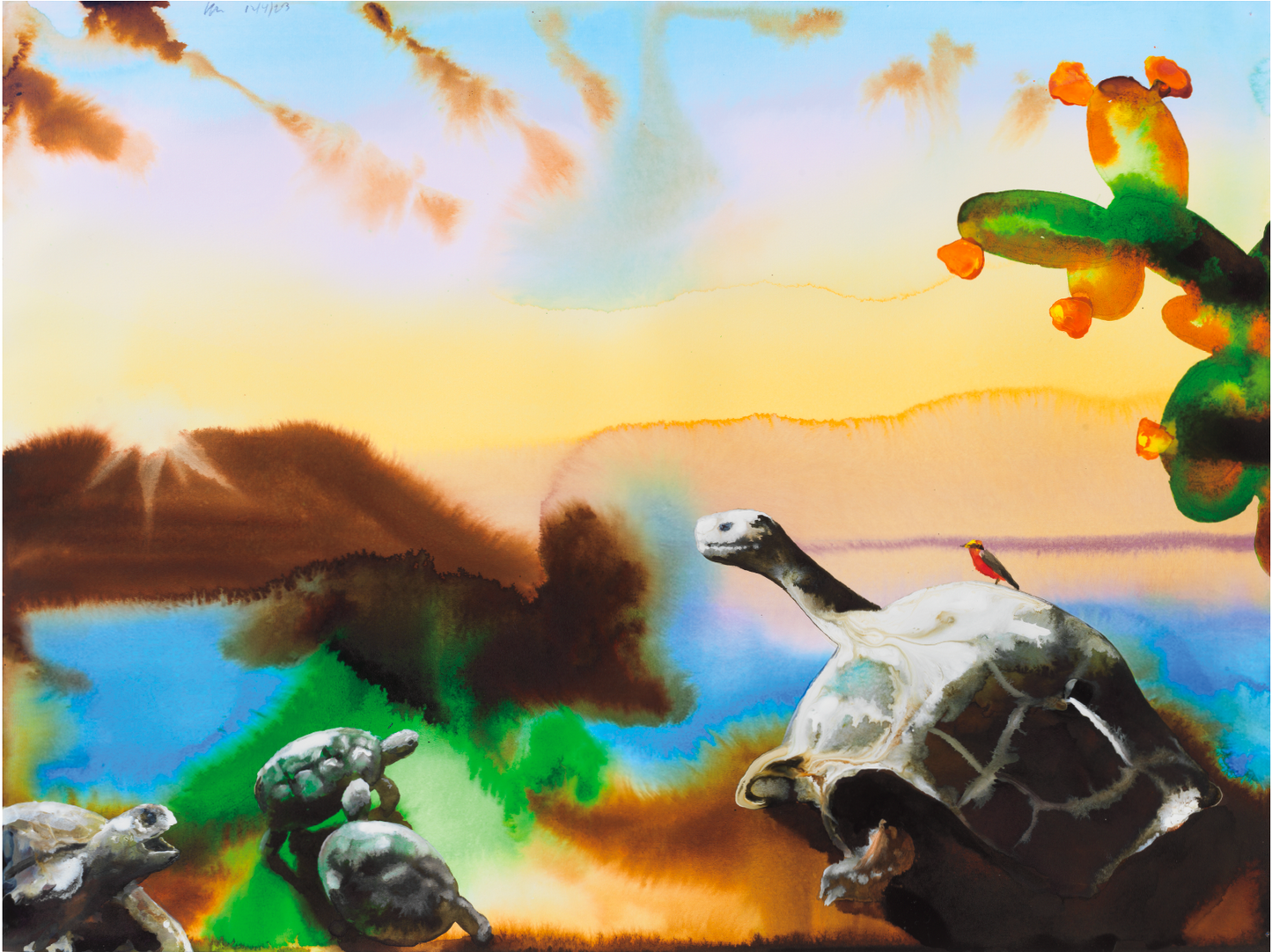 Galapagos: An Origin Story - Written by David Magee & Original Artwork by Alexis Rockman